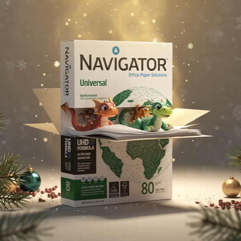 create a christmas ream with dragons inside the package